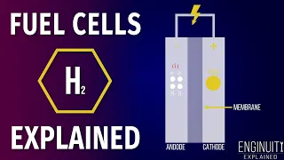 Hydrogen Fuel Cell: How It Works