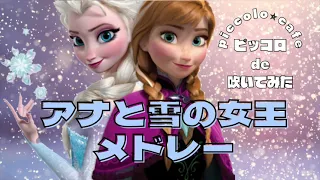 【ピッコロ】アナと雪の女王メドレー【演奏してみた】