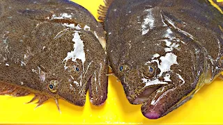 The most consumed fish!  Flatfish _ amazing fish preparation skills