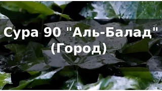 Коран: Сура 90 "Аль-Балад" (Город)