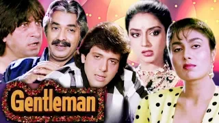 Gentleman Full Movie | Govinda Hindi Movie | Anuradha Patel | Superhit Bollywood Movie