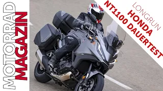 Dauertest Honda NT1100 DCT – Erste Erfahrungen im Longrun – Soziuskomfort, Gepäcksystem, Windschutz