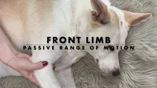 Passive Range of Motion for Canine Rehabilitation