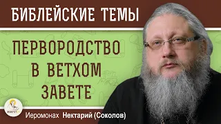 ПЕРВОРОДСТВО В ВЕТХОМ ЗАВЕТЕ. Иеромонах Нектарий (Соколов)