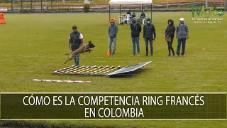 Como es la competencia Ring Frances en Colombia - TvAgro por Juan Gonzalo Angel Restrepo