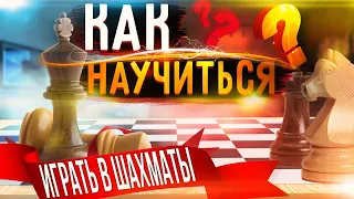 ШАХМАТЫ ДЛЯ НАЧИНАЮЩИХ |  ПРАВИЛА ИГРЫ В ШАХМАТЫ