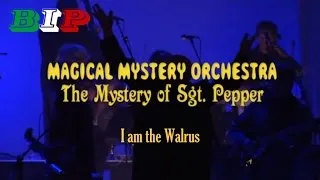 I Am The Walrus (The Beatles) by Magical Mystery Orchestra