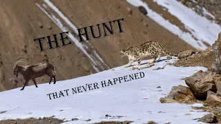 THE HUNT | That Never Happened