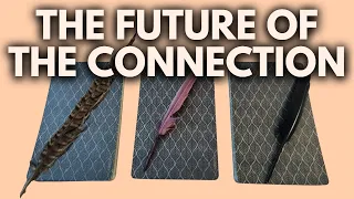 THE FUTURE OF YOUR CONNECTION!  PICK A CARD TIMELESS TAROT READING