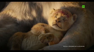 El Rey León (2019) | Nuevo Adelanto Oficial en español | HD