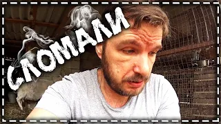 Vlog: Кормушка для коз не выдержала, или как живут в России...