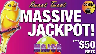 My BIGGEST JACKPOT! On 🐥 Sweet Tweet 🐥 2 JACKPOTS in 1 session!  🎰 Sweet Tweet Massive Handpay!