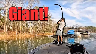 Giant Bass LOST Fishing Lake Lanier!