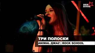 Три полоски (Animal ДжаZ cover) | Rock School