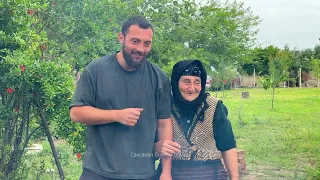 MULBERRY HARVEST TIME In Village | Cooking Mulberry Molasses | Caucasian Rural Lifestyle