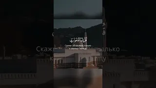 | ﷽| Сура:72«Аль-Джинн»Аят«18-20» | Чтец:«Ahmed Khedr».