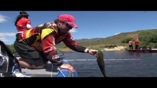 ASFN Bass - Small Mouth Challenge at Clanwilliam Dam