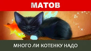 Алексей Матов - Много ли котенку надо