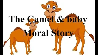 The camel and baby - Moral Story for children's