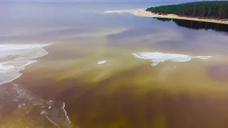 Природа Латвии с неба. / Latvian nature from Drone.