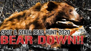 BEAR DOWN!! Idaho Spring Bear 2020 - Spot & Stalk