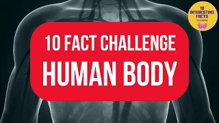 Human Body Quiz | Questions and Answers