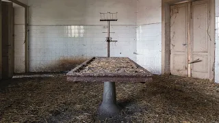 Exploring the Eerie Ruins of an Abandoned 1800's Asylum