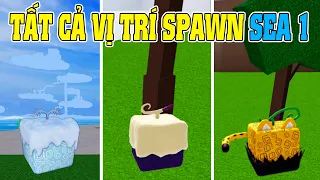 Tất Cả Vị Trí Spawn Trái Ác Quỷ Ở Sea 1 Trong Blox Fruits