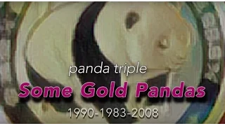 The 3 gold pandas 1983, 1990 and 2008 all cool and beautiful