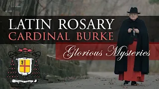 Pray the Rosary in Latin with Cardinal Burke (Glorious Mysteries)