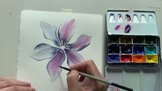 Ботанічна акварель🎨Клематіс  #art #drawing #watercolor #botanical