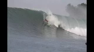 Nias surf Ulisses freesurfer