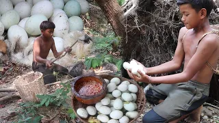 Find meet Baby eggs duck Nearby river in jungle for food - cook Baby eggs duck Eating delicious# 113