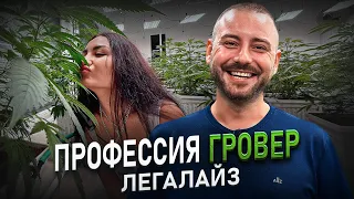 Легалайз Таиланд | Как выращивают травку на Пхукете | 10 вопросов мастеру по гровингу