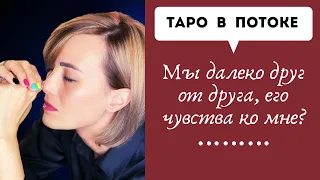 Мы далеко друг от друга, его чувства ко мне?