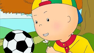 Caillou y el Futbol | Caillou en Español Castellano