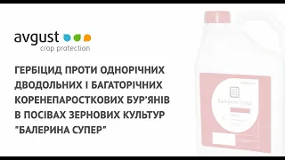 Балерина Супер - віртуоз гербіцидної справи!