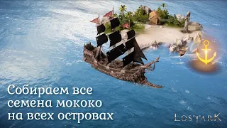 Семена мококо на островах | Lost ark