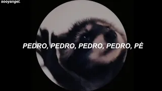 la canción viral de Pedro de tiktok (Letra/Lyrics)