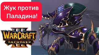Жук против Паладина! Нестандарт‼️ HammBamm (Hum) vs FreeMasha (Ud) Warcraft 3 Reforged