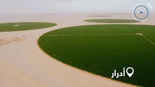 كاميرا "ديزاد نيوز" تنقلكم إلى مزارع و حقول القمح في صحراء أدرار 🇩🇿💪❤️