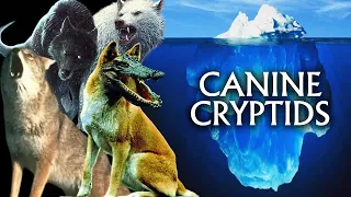 The Canine Cryptid Iceberg Explained