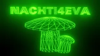 Nachtdigital // Escape to Olganitz // Nachti // Festival // NACHTI4EVA