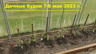 Дачные будни 7-8 мая 2023 г. Психанула и высадила! Рассада и майские заморозки.