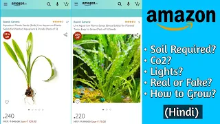 Live Aquarium Plant Seeds from Amazon - All Details (Aponogeton Plant) | CrazyF India