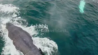 A natural paradise | Cayo Levantado Resort