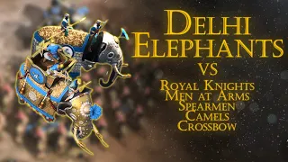 How Good Are Delhi Elephants? | Age Of Empires 4