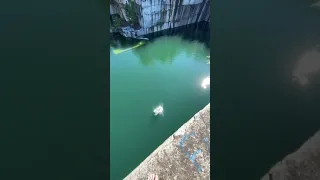 Insane flip at abandoned quarry