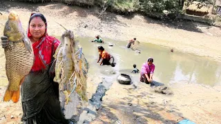 পুকুরের জ্যান্ত গলদা চিংড়ির তেঁতুল দিয়ে টক আর আমেরিকান রুই মাছের তেলঝাল রান্না||fishing&cooking