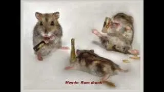 Moods- Rum drunk